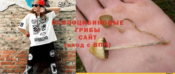 меф Новозыбков