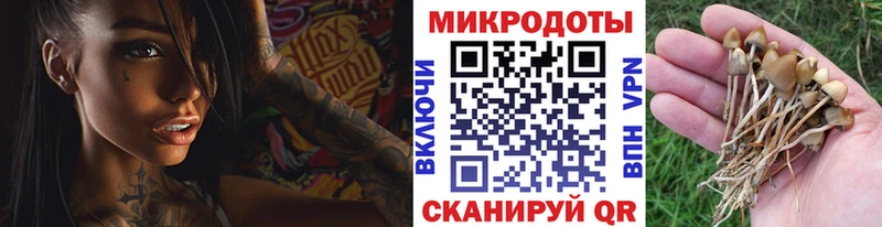 hydra маркетплейс  где найти   Малая Вишера  Псилоцибиновые грибы мицелий 