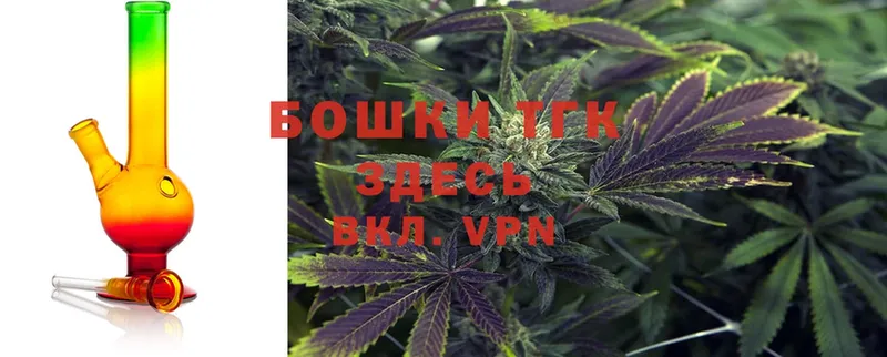 купить наркотик  Малая Вишера  Марихуана SATIVA & INDICA 